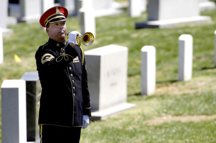 Veterans Day Bugler Arlington National Cemetery Veterans Day 2016 TAPS PTSD PACE